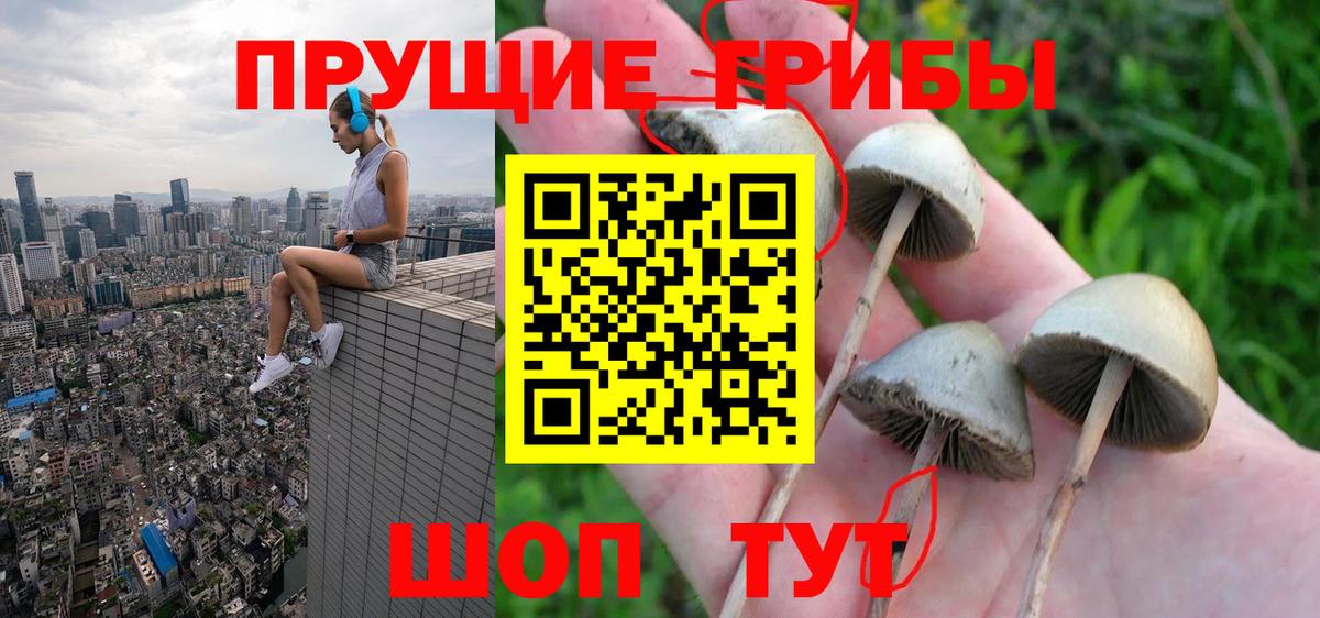 Галлюциногенные грибы Psilocybine cubensis  Вход с VPN  Кудрово 