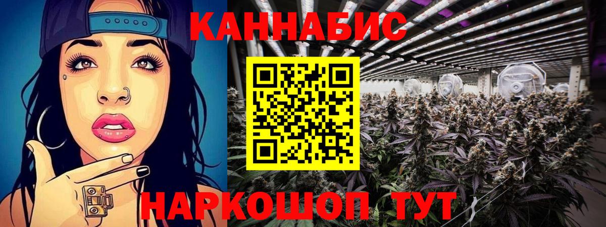 Бошки Шишки MAZAR Кудрово